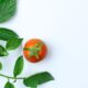 Objawy i sposoby zwalczania trzech najczęstszych chorób atakujących pomidory